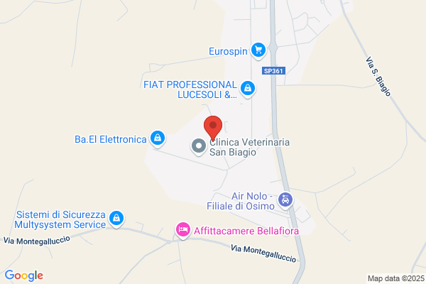 Catena Services