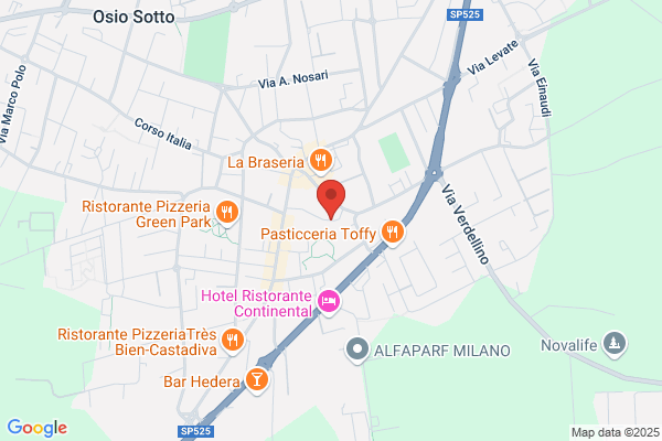 Servizi Informatici Di Guseppe Zanga & C. (S.A.S.)