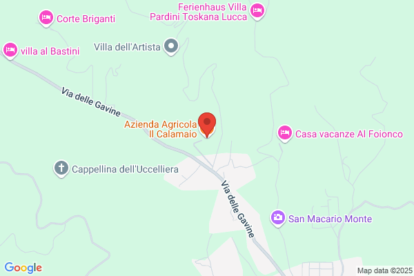 Il Calamaio Snc
