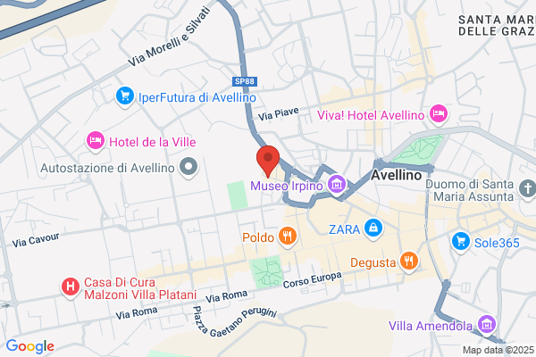 Festa Elvira (Avv.)