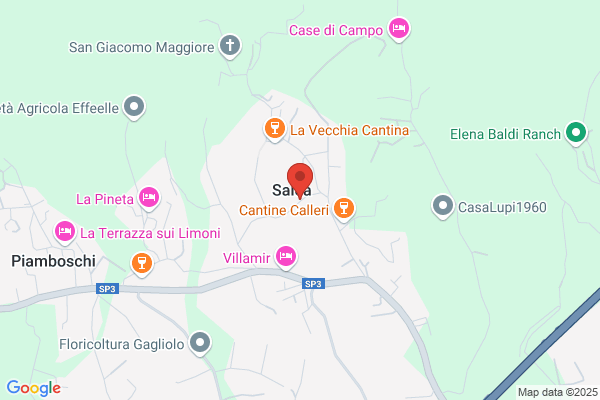 Schivo giovanni