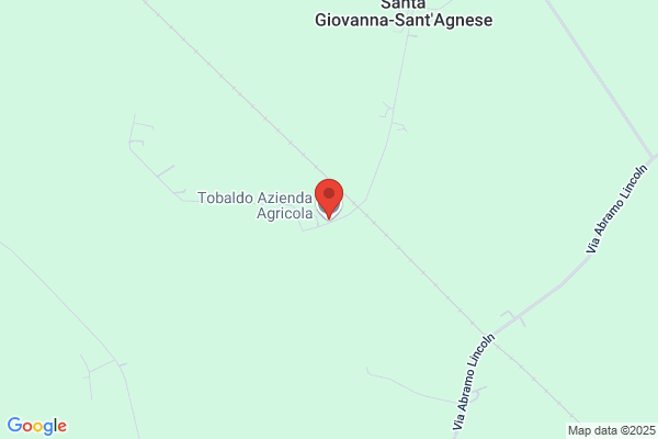 Tobaldo silvano
