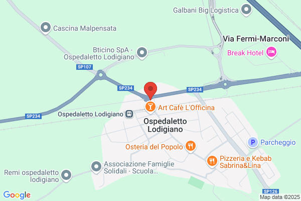 Meazza torquato (Dr.)