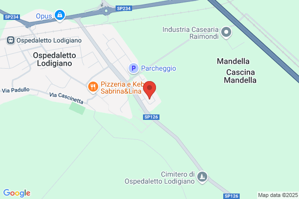 Polizzo patrizia
