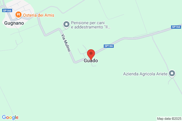 Gelateria Gloria S.A.S. Di Papetti Fulvio E c.