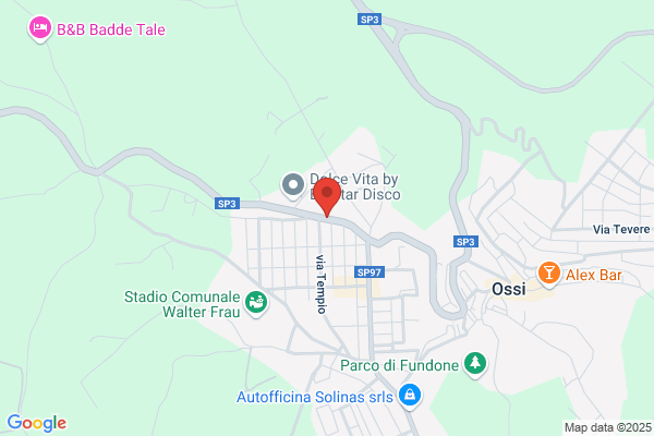Gruppo Folk Citta Di Ossi