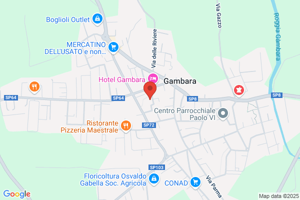 New Leader Gambara