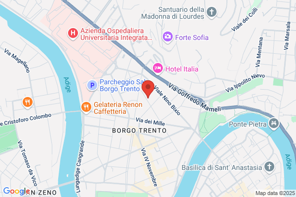 Lyon Di Tonini Davide E C. S.A.S.