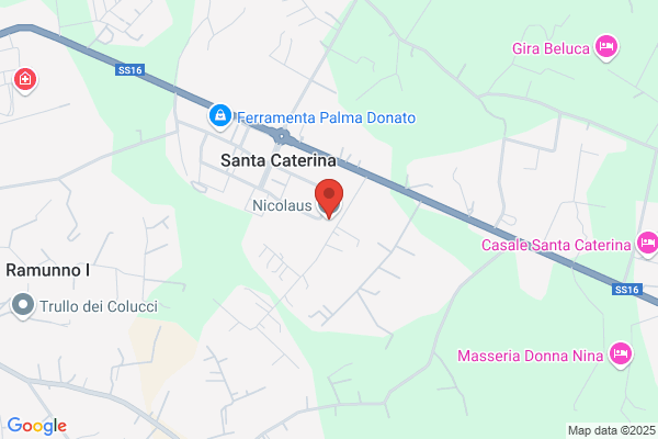 Nicolaus Tour Srl