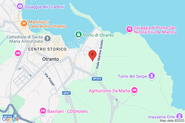 Istituto Professionale Di Stato