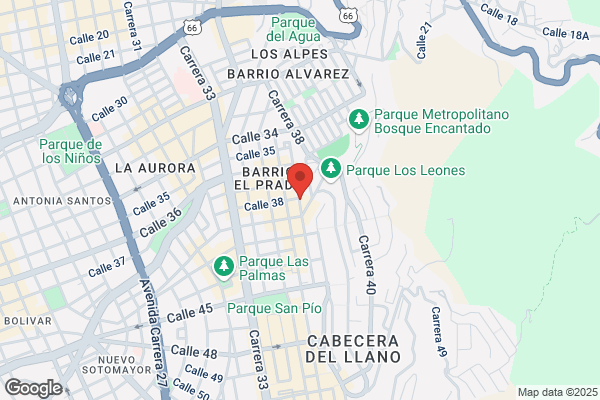Endosurgical Sas