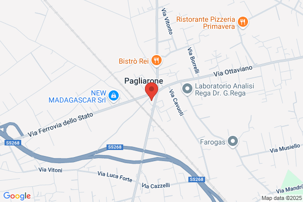 Tech Service - Sinergy Ottaviano