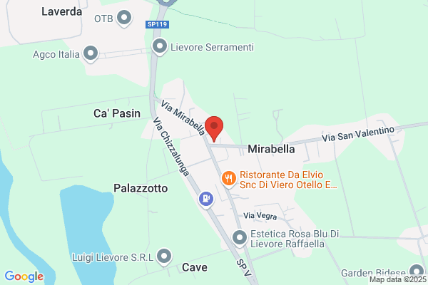 Mirabella fausta (Dr.)