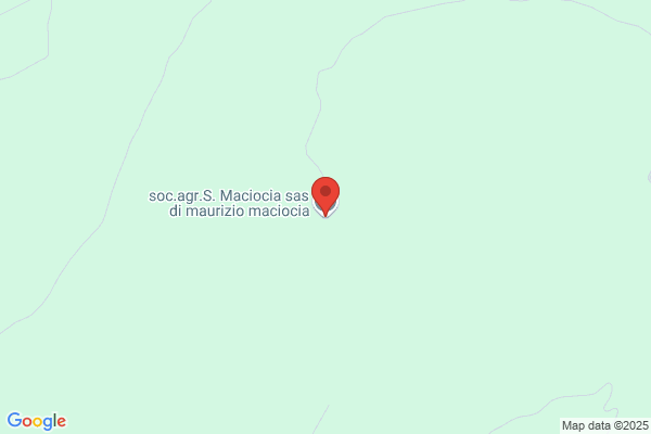 Maciocia & C. Srl