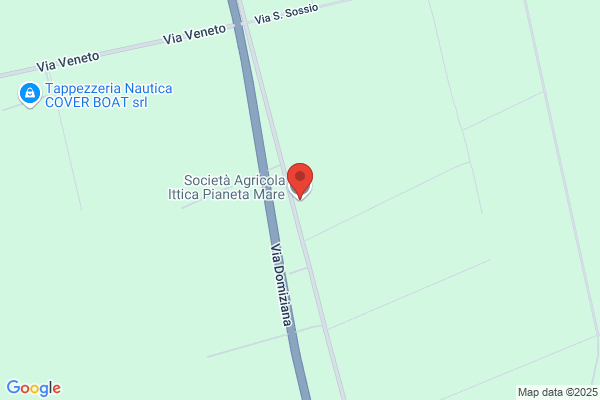 Ittica Tirrenia Di Imparato Luigi & C. sas