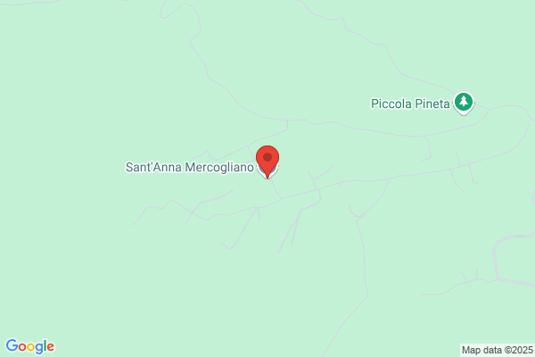 Mercogliano anna