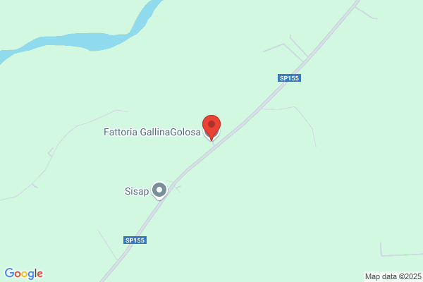 Galsing Di Gallina Rosalia E C.(S.A.S.)