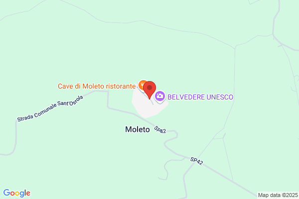 Moleto Servizi S.R.L.