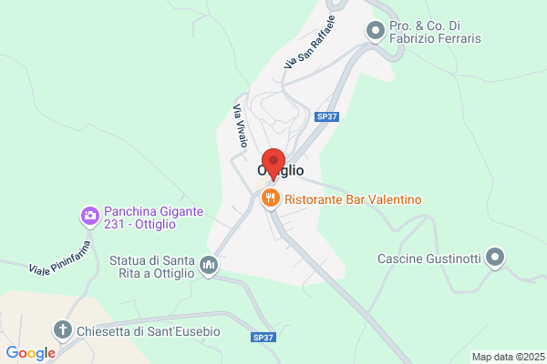Vergnasco elsa