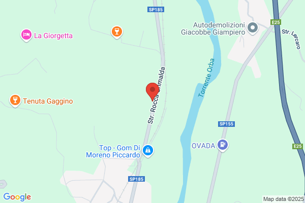 Societa Autolinee Alto Monferrato Ovadese(P.A.)