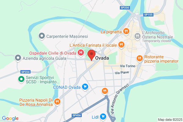 Ravera cinzia (Dr.)