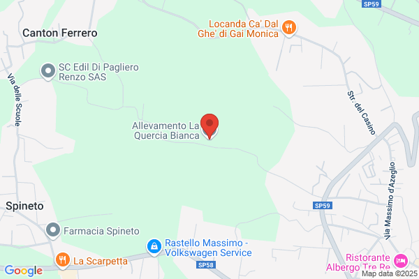 Allevamento La Quercia Bianca