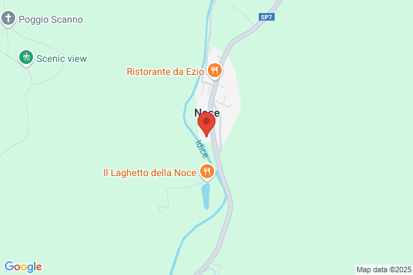 Officina dall'Olio Riparazione Auto e Autocarri