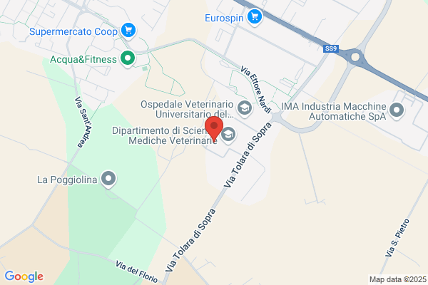 Gestione Servizi Integrati S.R.L.