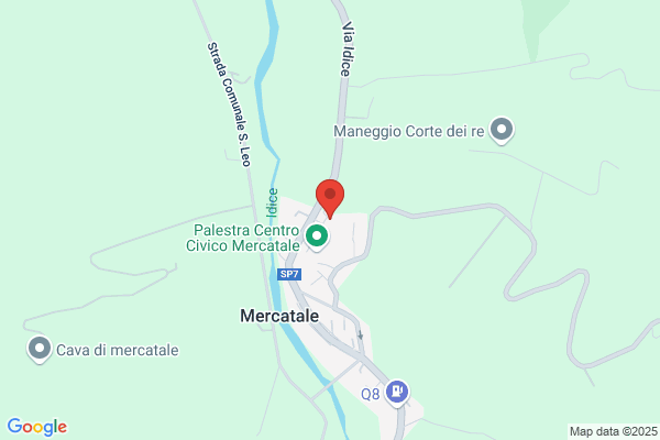 Parrini federico