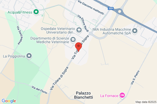 Petrolmeccanica Srl