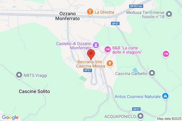 Gabba Fulvio (Dr.)