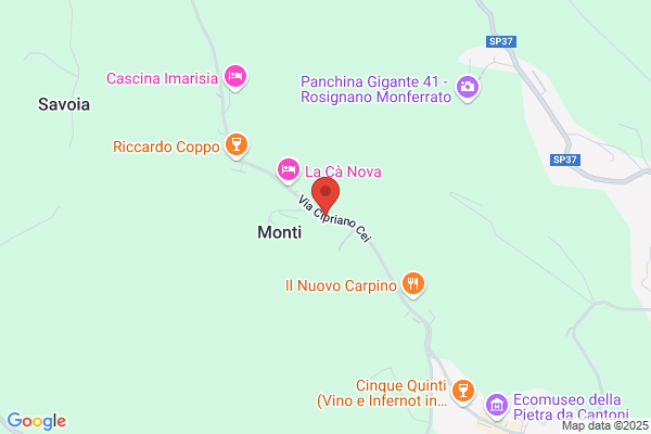 Limonetti daniele