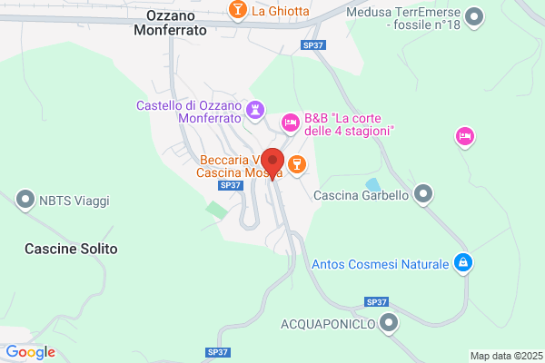 Municipio