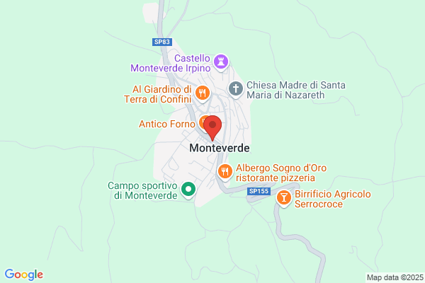 Monteverde davide