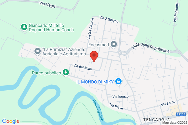 Pizzo Mauro S.R.L.