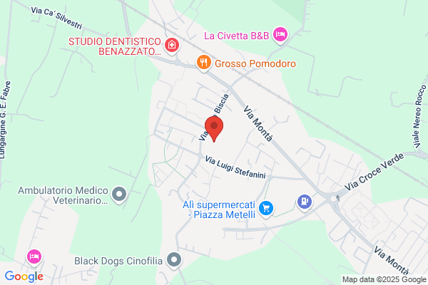 Scuole Pubbliche/Medie