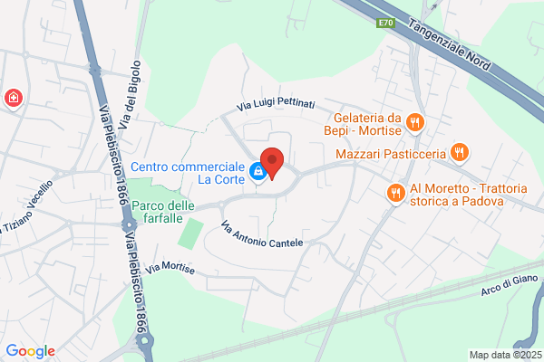 La Camicia di Ferro