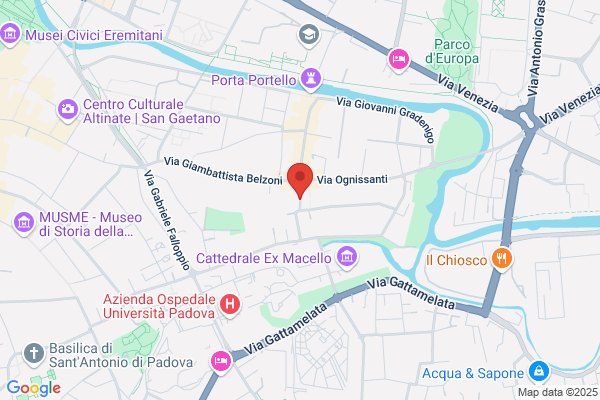 Zancanaro lia (Dr.)