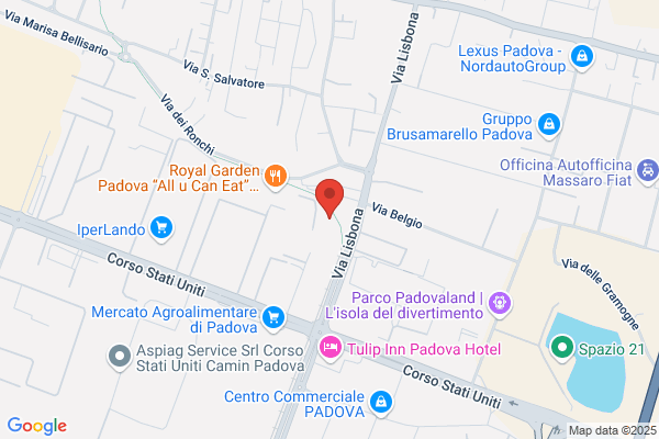 Varotto dino