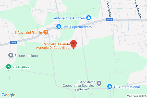 Seffusatti Capovilla clara