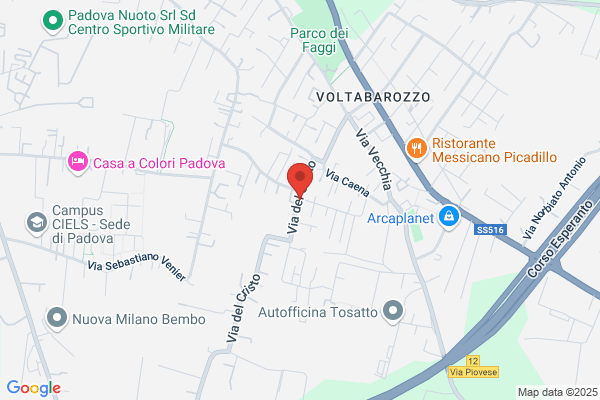 Viridissima