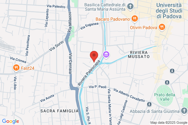 Essedii Centro Copie