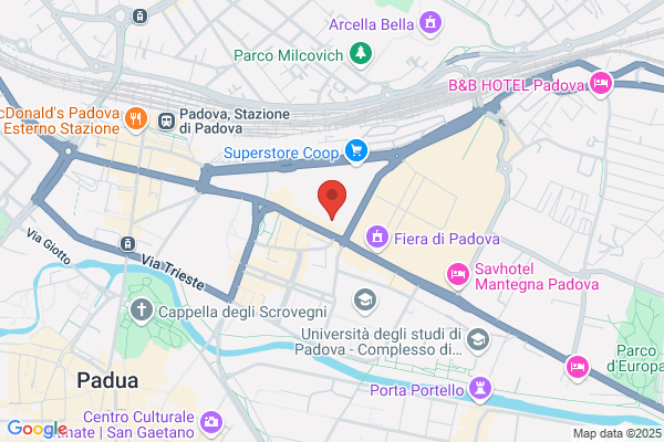 Ordine Degliavvocati E Dei Procuratori