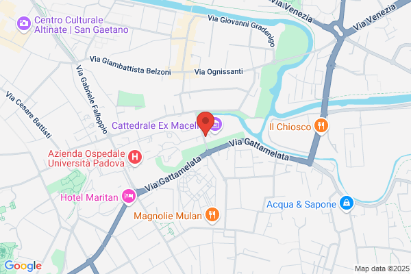 Friend Of The World Treasure