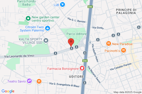 Palermo Investigazioni