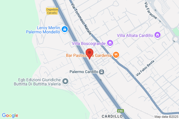 Palermo Transfer Limousine