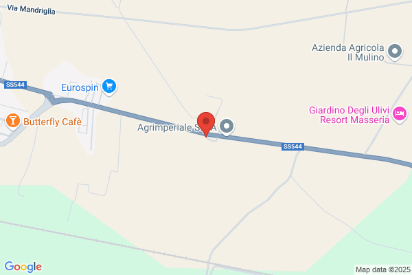 Riglietti vincenza