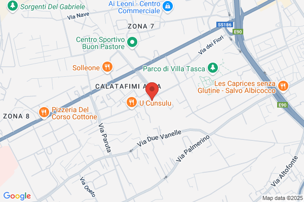 Istituto Scolastico Paulsen