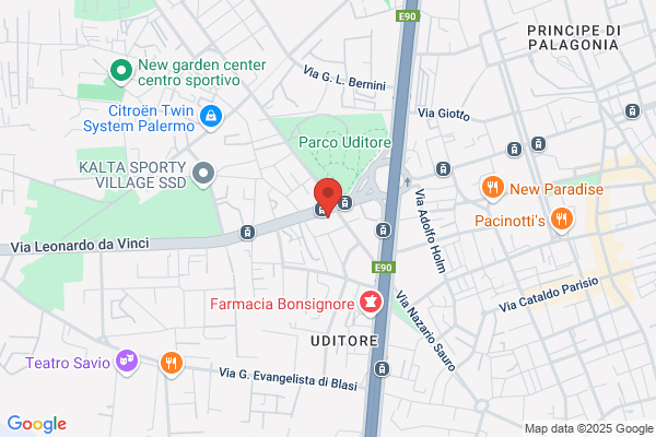 Sat Service - Philips Saeco Gaggia Service