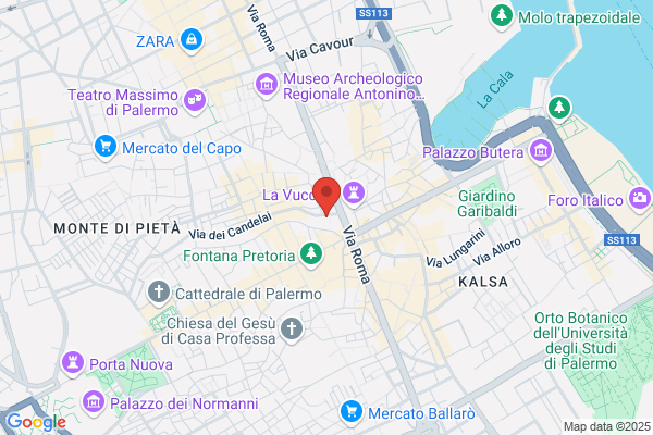 Ferro Monica